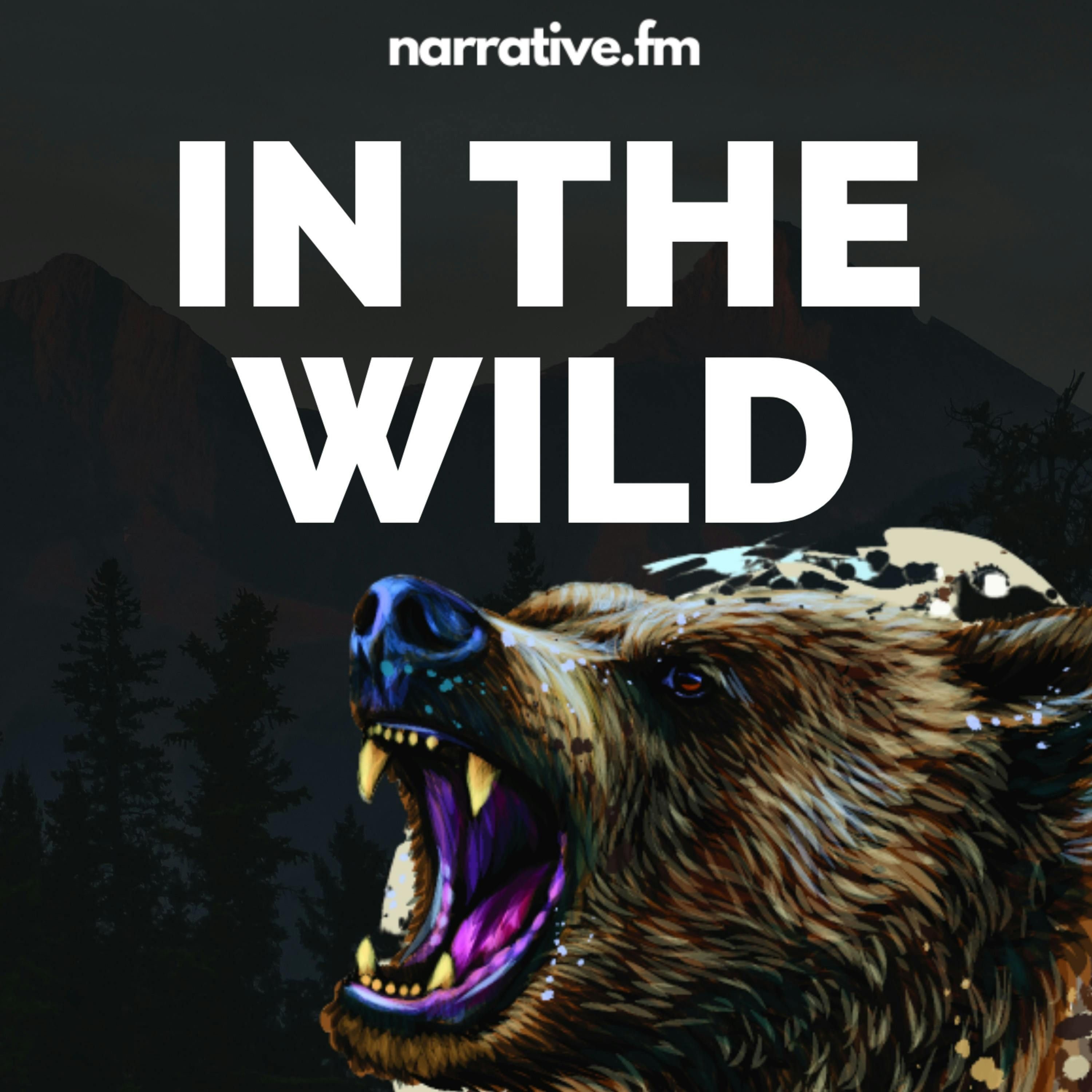 In The Wild Podcast Cover
